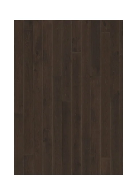 Dub Nouveau Black