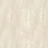 Dub škandinávsky